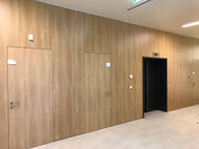 Конструкционные облицовочные панели для стен интерьеров,  дизайн-панель