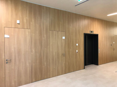 Конструкционные облицовочные панели для стен интерьеров,  дизайн-панель - main